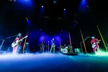 女王蜂（撮影：森好弘）