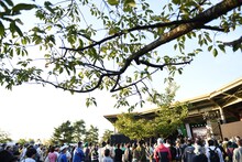 「NEGi FES 2018 in 新潟」の様子。