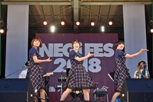 Negicco