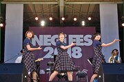 Negicco