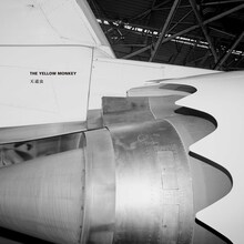 THE YELLOW MONKEY「天道虫」配信ジャケット