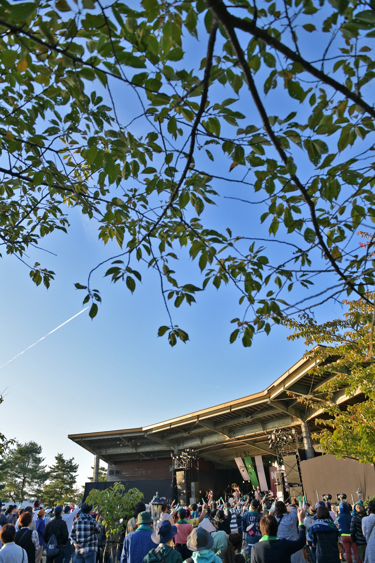 Negicco