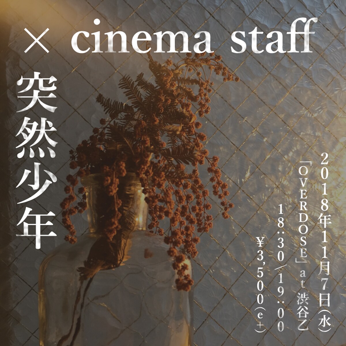 cinema staffと突然少年、移転前の渋谷club乙で競演