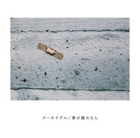 ズーカラデル「夢が醒めたら」ジャケット