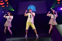 やまとなでしこセミコロン