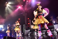 チームしゃちほこ「"TEAM SYACHIHOKO" THE LIVE ～FINAL～」の様子。