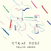 七尾旅人「Stray Dogs」ジャケット