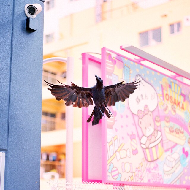 Soakubeats（粗悪ビーツ）「Crude」ジャケット