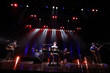 キンモクセイ（撮影：西槇太一）