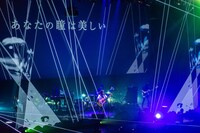 さユり「レイメイのすゝめ」東京・Zepp Tokyo公演の様子。
