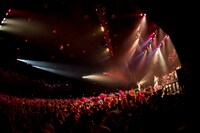「ベッド・イン 2マンシリーズ2018 ～炎のねるとん3本勝負～」東京・Zepp Tokyo公演の様子。（撮影：斉藤明）