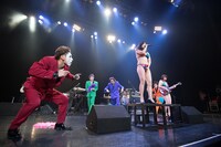 ベッド・インとゴールデンボンバーのコラボライブの様子。（撮影：斉藤明）