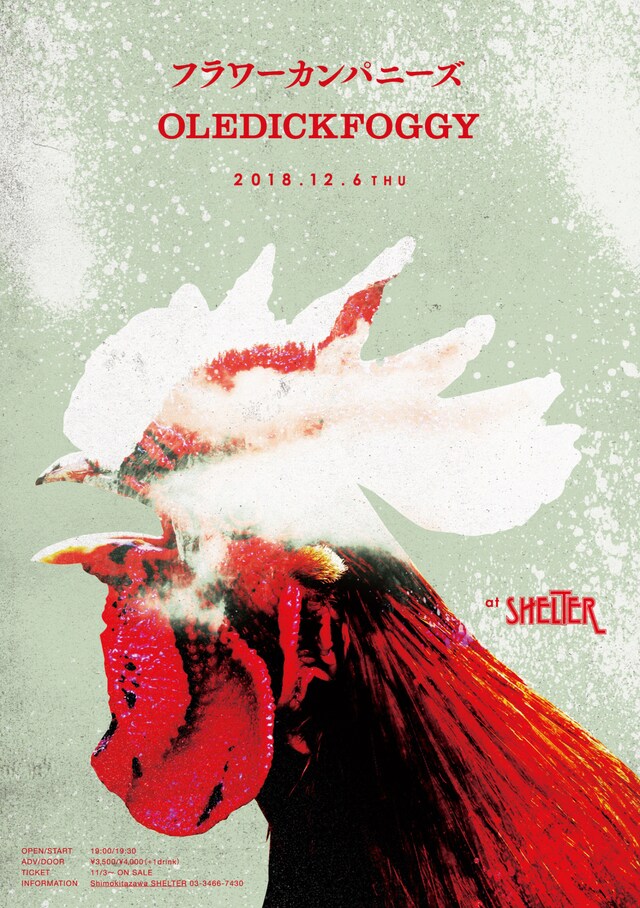 「SHELTER presents.『地下室ノ正義』」フライヤー