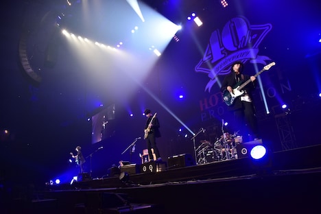 ポルカドットスティングレイ（Photo by TEAM LIGHTSOME）