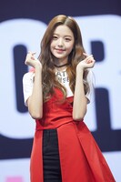 チャン・ウォニョン