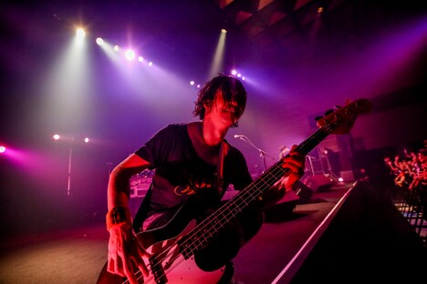 田淵智也（B）（Photo by Viola Kam［V'z Twinkle］）