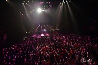 星名美怜の生誕ソロライブ「PINK DOLL HOUSE」の様子。