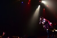 星名美怜の生誕ソロライブ「PINK DOLL HOUSE」の様子。