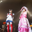 鈴木愛理×アカシック、1日遅れのハロパでミラクル連発!「凜」コラボも実現