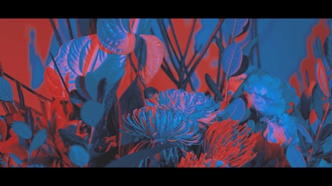 佐香智久「不完全モノクローグ」MVのワンシーン。