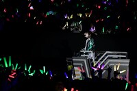 トロッコに乗って移動するうらたぬき。（撮影：小松陽祐［ODD JOB］、黒瀬友理）