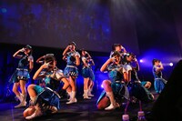 3B junior「Cell Division～細胞分裂～」の様子。（撮影：笹森健一）