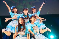 ロッカジャポニカ（撮影：笹森健一）