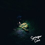 Yogee New Waves「SPRING CAVE e.p.」アナログ盤ジャケット