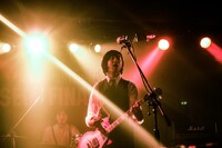 OLD BROWN OWL（Photo by toyo）