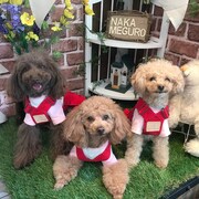 左からMaya、ひな、nina。