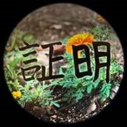 スカイピース「証明」配信ジャケット