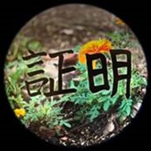 スカイピース「証明」配信ジャケット