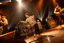 フラワーカンパニーズ