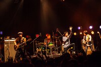 フラワーカンパニーズ