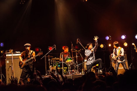 フラワーカンパニーズ