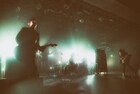 愛おしい11年間を総括、THE NOVEMBERSの11月ワンマン