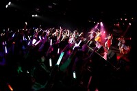 「A応P 3rd LIVE TOUR 2018-2019 ANIMETIC PLAYLIST えーおうぴーの こうげき！」の様子。（写真提供：AT-X）