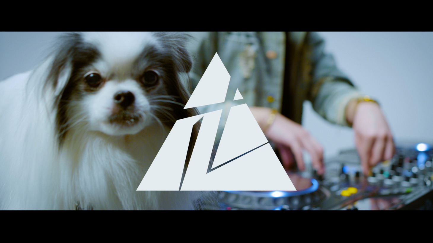 TeddyLoid「Two Dawgz and The Ape feat. Paloalto & SALU」のワンシーン。