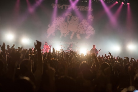 ヤバイTシャツ屋さん（Photo by KEIJU）