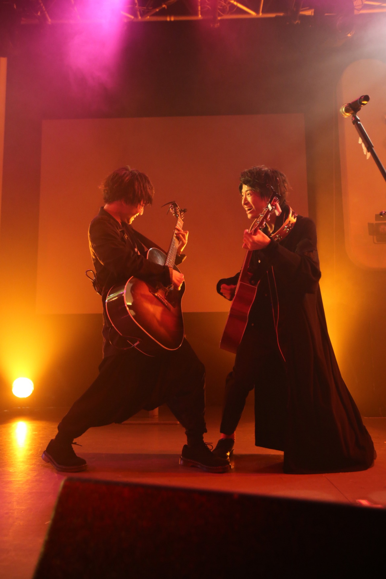 さくらしめじ（撮影：埼玉泰史）