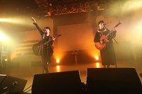 さくらしめじ（撮影：埼玉泰史）