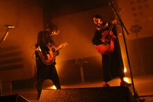 さくらしめじ（撮影：埼玉泰史）