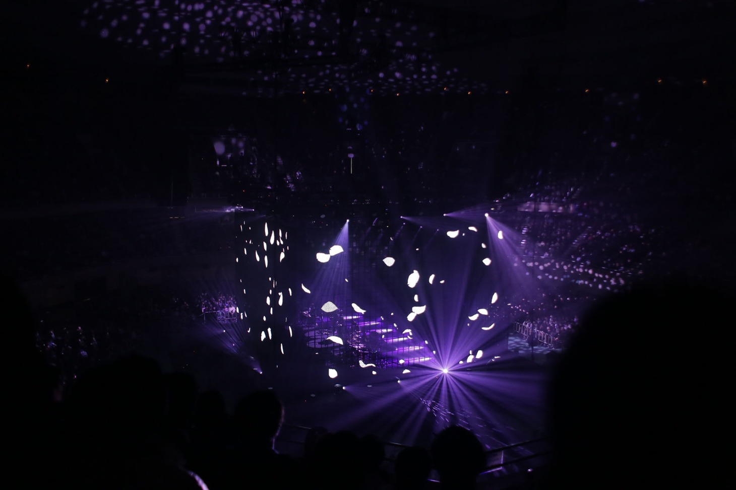 amazarashi「朗読演奏実験空間“新言語秩序”」の様子。