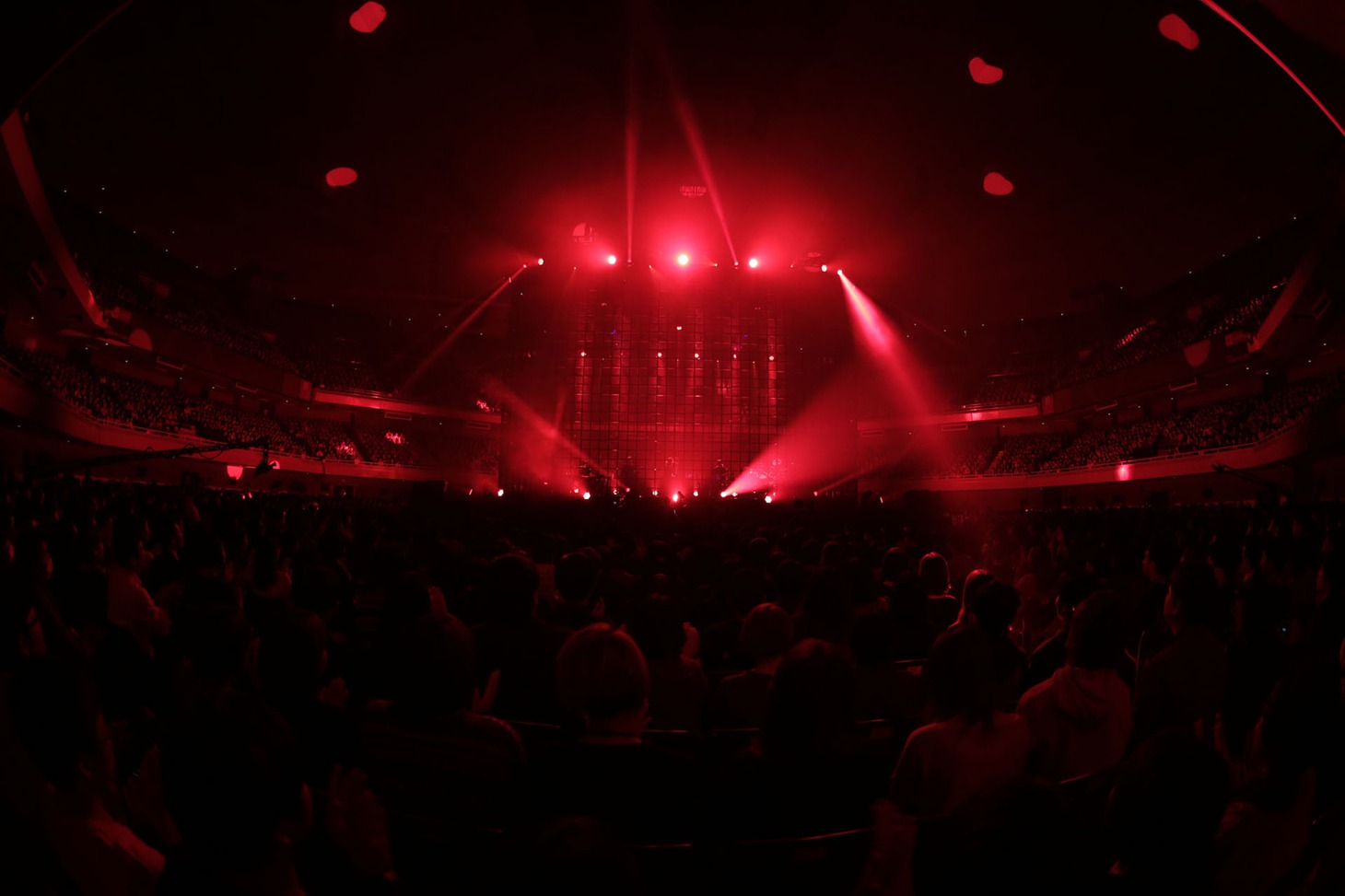 amazarashi「朗読演奏実験空間“新言語秩序”」の様子。