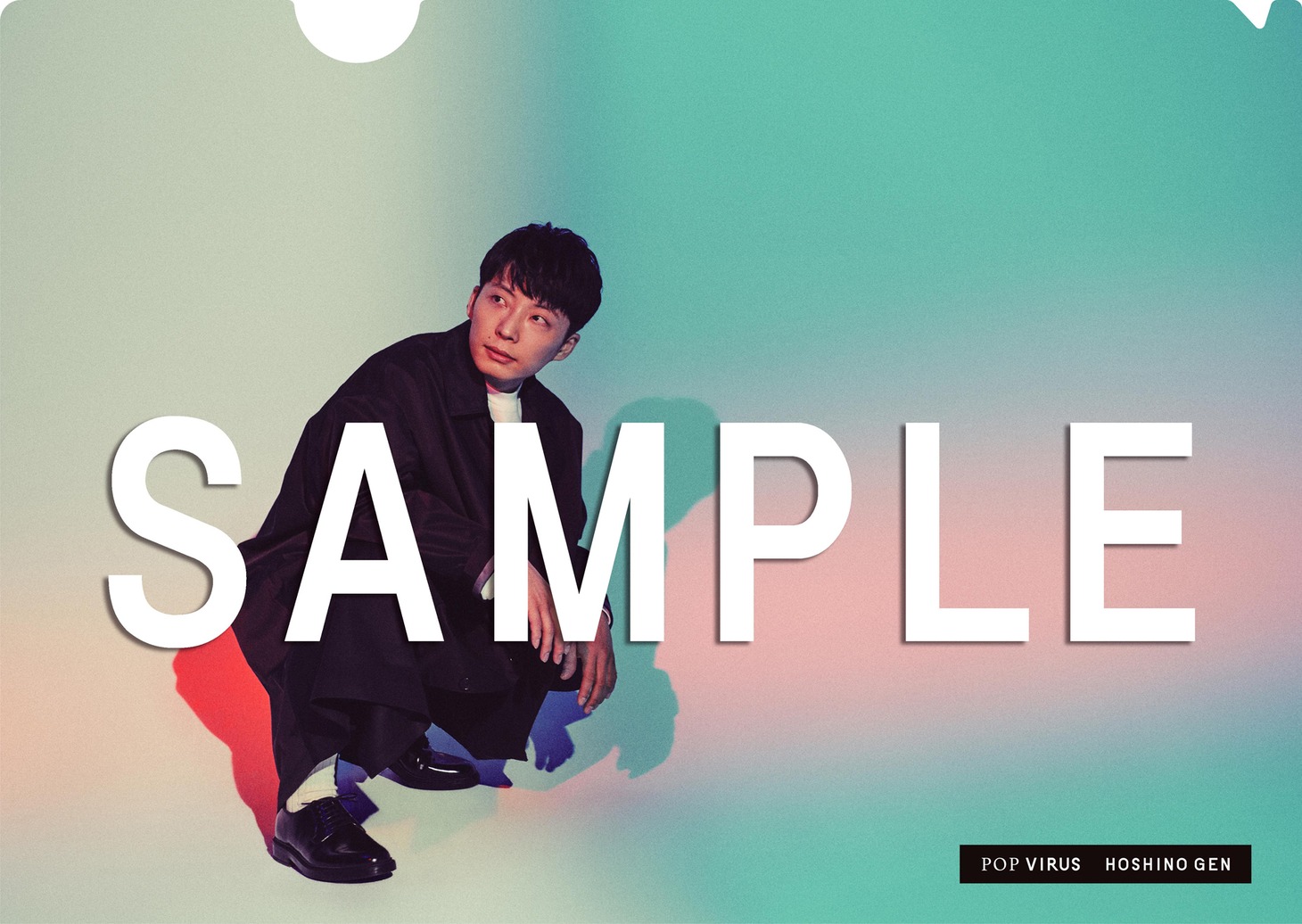 星野源「POP VIRUS」購入特典クリアファイルDtype見本