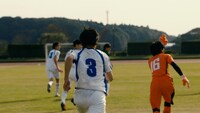 「第97回全国高等学校サッカー選手権大会」応援CMのワンシーン。