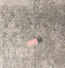 ゲスの極み乙女。「ドグマン」配信ジャケット