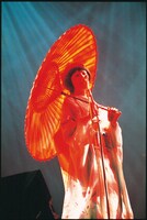 椎名林檎「Electric Mole」より