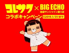 コレサワ×ビッグエコーのキャンペーンビジュアル。