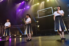 Negicco